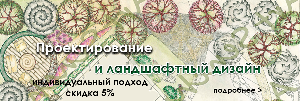 Проектирование