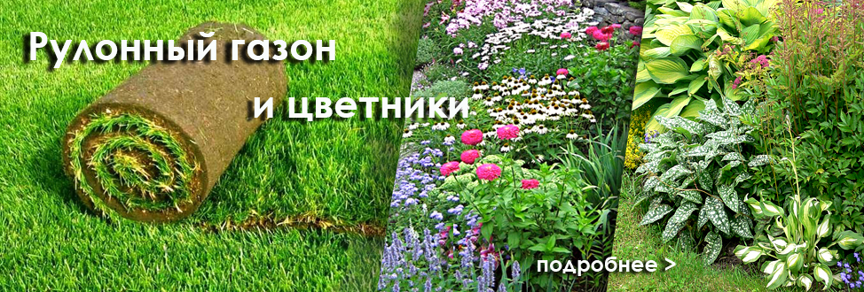 цветники2
